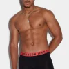 Be Icon Color Trunk