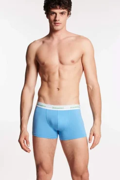 Be Icon Trunk