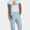 Cigarette Pants