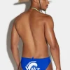 D2 On The Wave Swim Brief