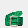 D2 Statement Belt