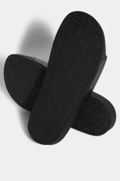 D2 Statement Slides