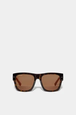 Icon Havana Sunglasses