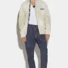 Sexy Cargo Chino Pants