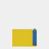 Technicolor Pouch
